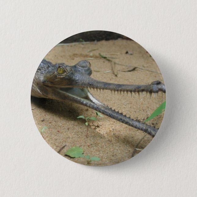 Chapa Redonda De 5 Cm Gharial (Anverso)