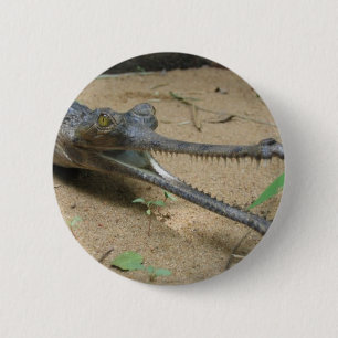 Chapa Redonda De 5 Cm Gharial