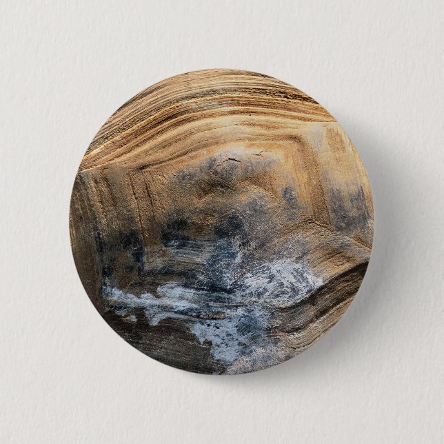 CHAPA REDONDA DE 5 CM GIANT TORTOISE SHELL (Anverso)