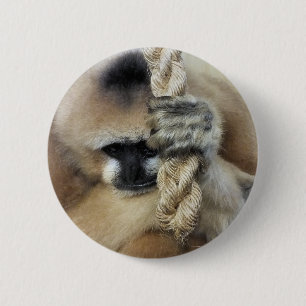 CHAPA REDONDA DE 5 CM GIBBON