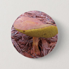 Chapa Redonda De 5 Cm Gilled Bolete Mushroom