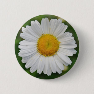 Chapa Redonda De 5 Cm Girasol