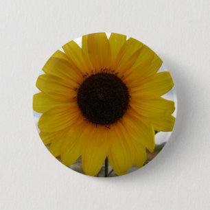 Chapa Redonda De 5 Cm girasol