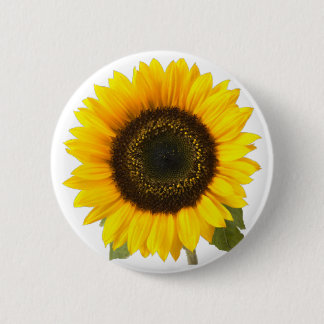 Chapa Redonda De 5 Cm Girasol