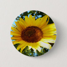 Girasol