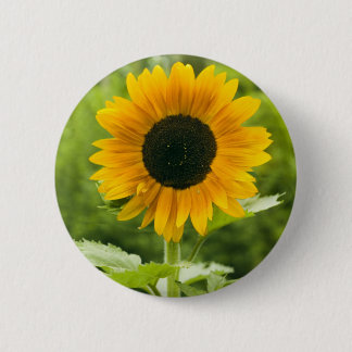 Chapa Redonda De 5 Cm Girasol
