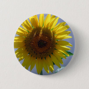 Chapa Redonda De 5 Cm Girasol amarillo