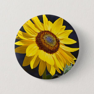 Chapa Redonda De 5 Cm Girasol amarillo brillante