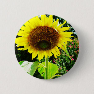 Chapa Redonda De 5 Cm Girasol amarillo grande
