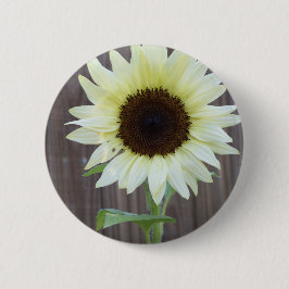 Chapa Redonda De 5 Cm Girasol blanco contra una cerca desgastada