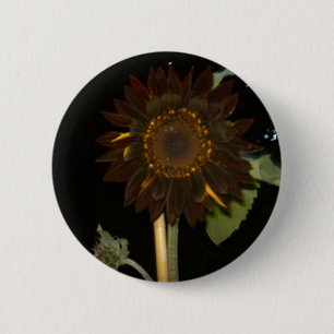 Chapa Redonda De 5 Cm Girasol oscuro en la noche