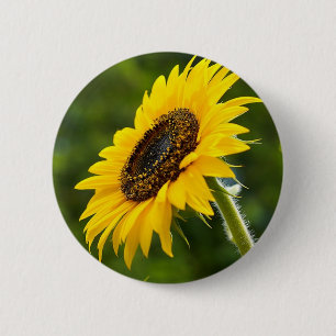 Chapa Redonda De 5 Cm Girasol Sideshot