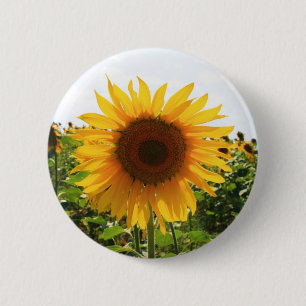 Chapa Redonda De 5 Cm Girasol soleado