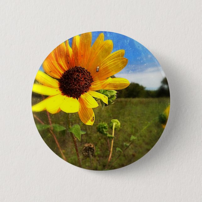 Chapa Redonda De 5 Cm Girasoles de Tejas de Jill (Anverso)