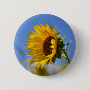 Chapa Redonda De 5 Cm Girasoles soleados