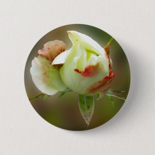 Chapa Redonda De 5 Cm glamour rosebud