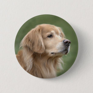 Chapa Redonda De 5 Cm Golden retriever en primer