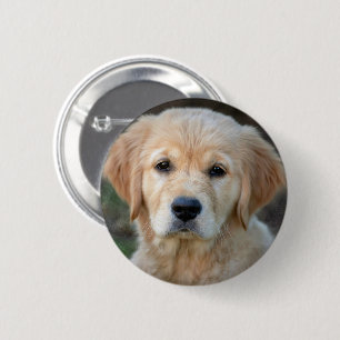 Chapa Redonda De 5 Cm Golden Retriever Puppy