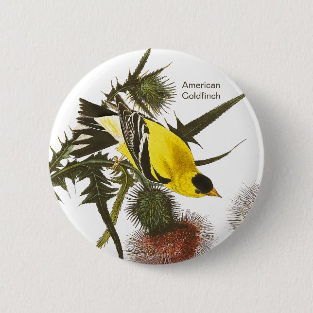 Chapa Redonda De 5 Cm Goldfinch estadounidense por John James Audubon, B (Anverso)