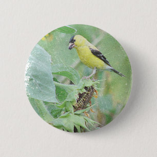 Chapa Redonda De 5 Cm Goldfinch Grunge
