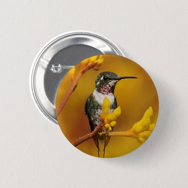 Chapa Redonda De 5 Cm Golpe dorado (Anverso y reverso)