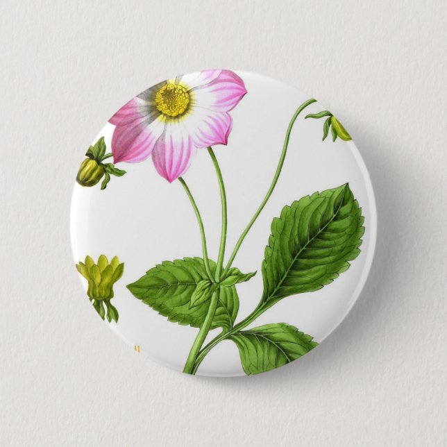 Chapa Redonda De 5 Cm Gracia (Anverso)