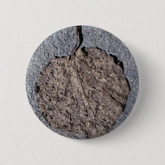 Chapa Redonda De 5 Cm Gráficos/Texturizados (Anverso)