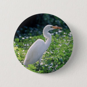 Chapa Redonda De 5 Cm Gran Egret