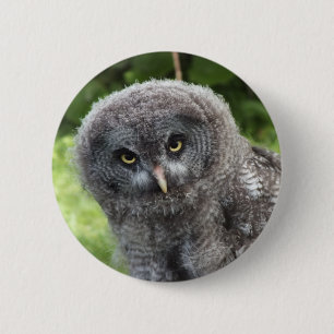 CHAPA REDONDA DE 5 CM GRAY OWL