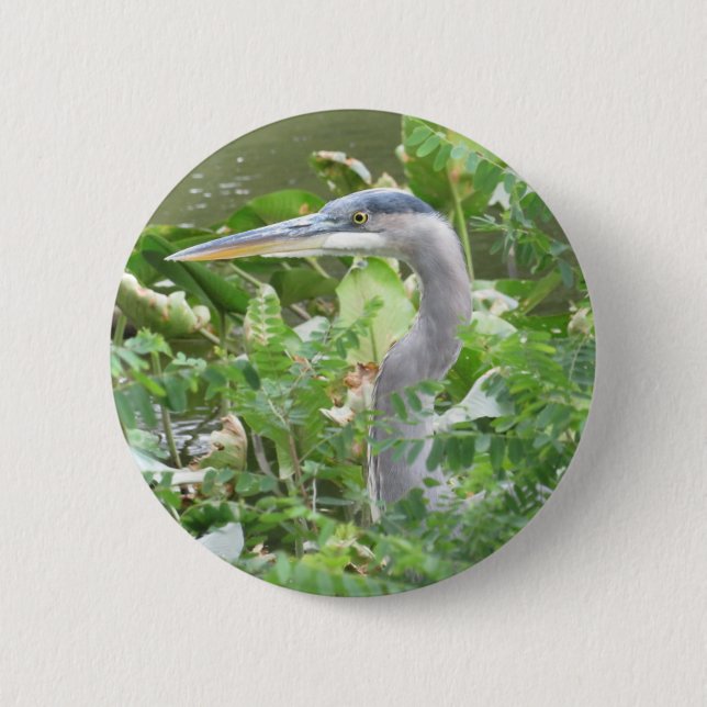 Chapa Redonda De 5 Cm Great Blue Heron button (Anverso)