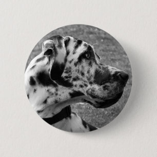 CHAPA REDONDA DE 5 CM GREAT DANE