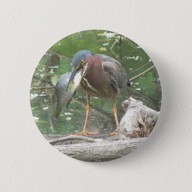 Chapa Redonda De 5 Cm Green Heron gone fishing button (Anverso)