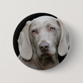 Chapa Redonda De 5 Cm Gris plateado de Weimaraner