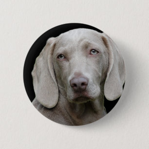 Chapa Redonda De 5 Cm Gris plateado de Weimaraner