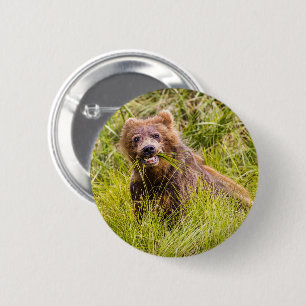 Chapa Redonda De 5 Cm Grizzly cub grazing, Alaska