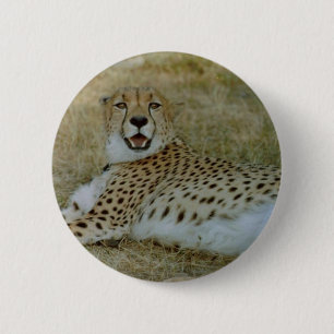 Chapa Redonda De 5 Cm Guepardo