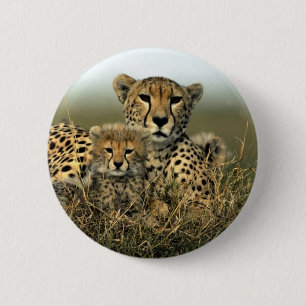 Chapa Redonda De 5 Cm Guepardo y Cub