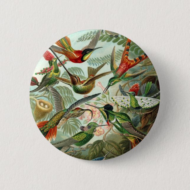 Chapa Redonda De 5 Cm Haeckel (Anverso)