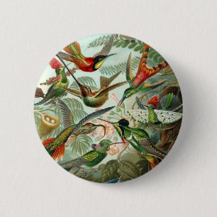 Chapa Redonda De 5 Cm Haeckel