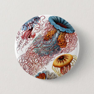 Chapa Redonda De 5 Cm Haeckel Discomedusae