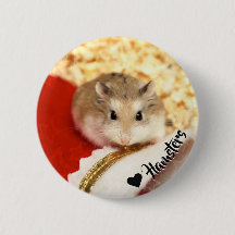 Hammyville - Cute Hamster