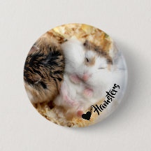 Hammyville - Cute Hamster