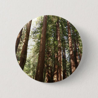 Chapa Redonda De 5 Cm Hasta Redwoods II en el Monumento Nacional Muir Wo