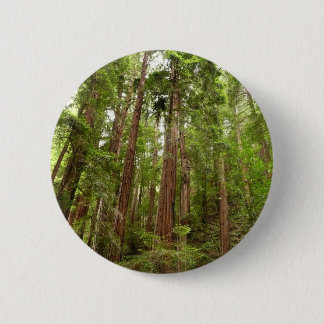 Chapa Redonda De 5 Cm Hasta secuoyas en el Monumento Nacional Muir Woods
