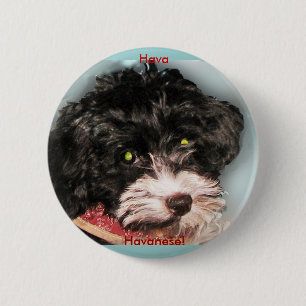 Chapa Redonda De 5 Cm ¡Hava Havanese!