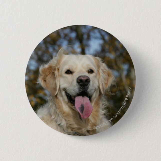 Chapa Redonda De 5 Cm Headshot 3 del golden retriever (Anverso)