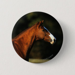 Chapa Redonda De 5 Cm Headshot excelente del caballo
