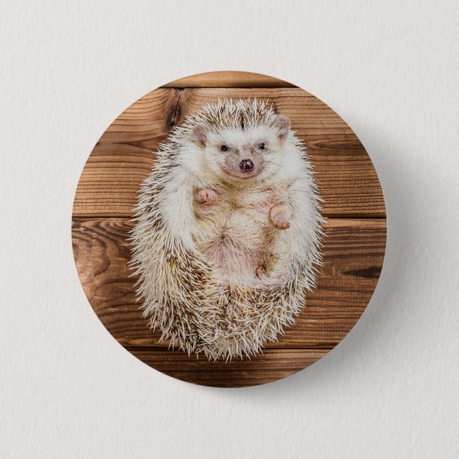 Chapa Redonda De 5 Cm Hedgehog (Anverso)