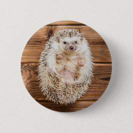 Chapa Redonda De 5 Cm Hedgehog