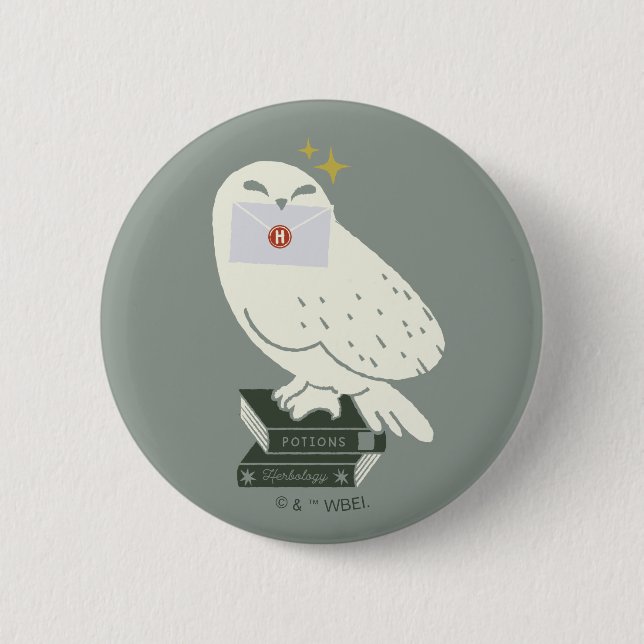 Chapa Redonda De 5 Cm Hedwig With Letter Whimsical Drawing (Anverso)